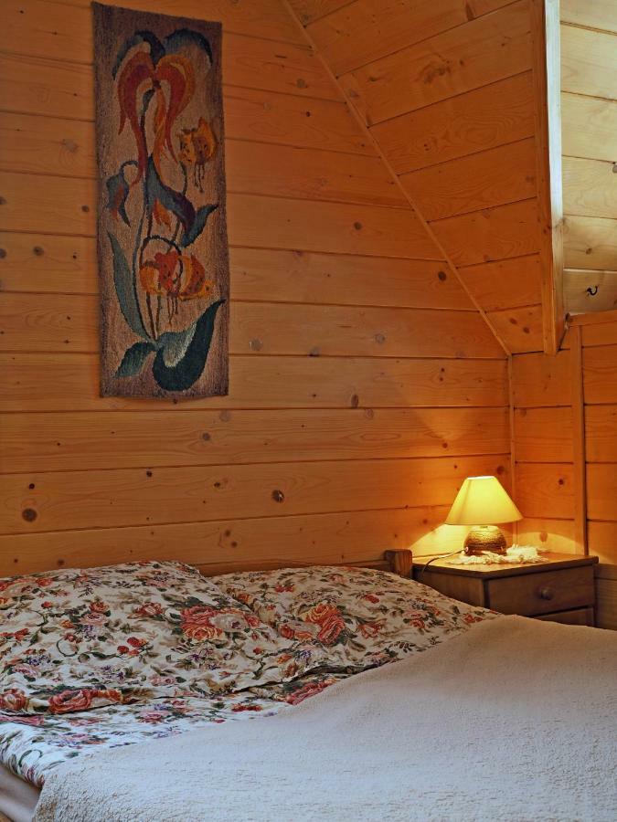 Willa U Kubusia Zakopane Eksteriør billede